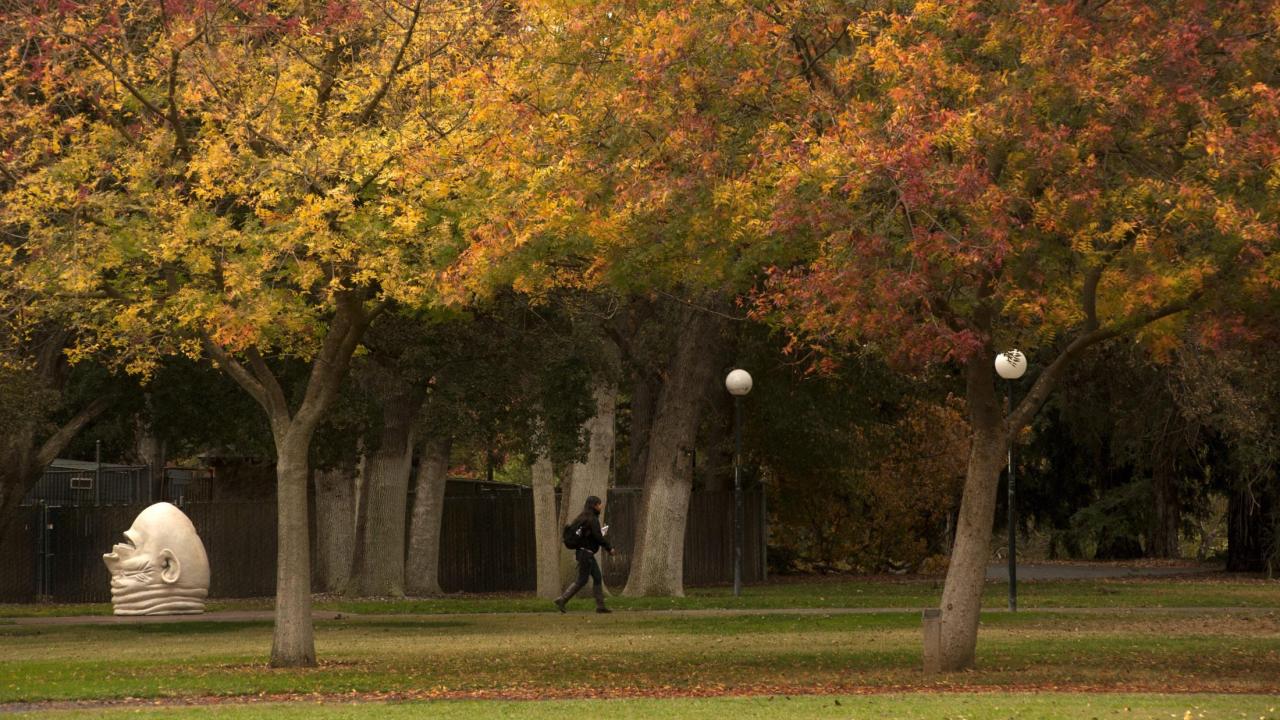 student walking near mrak hall, trees in fall colors