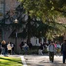 Students walking on a path on campus